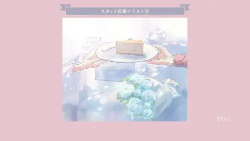 17.webp