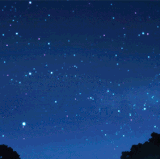 IMG 0508.gif