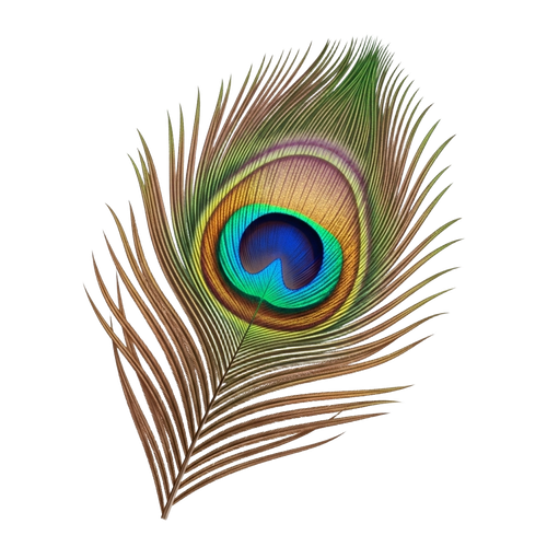 b739244ce9b9.png