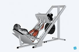 Treino A 1.jpg