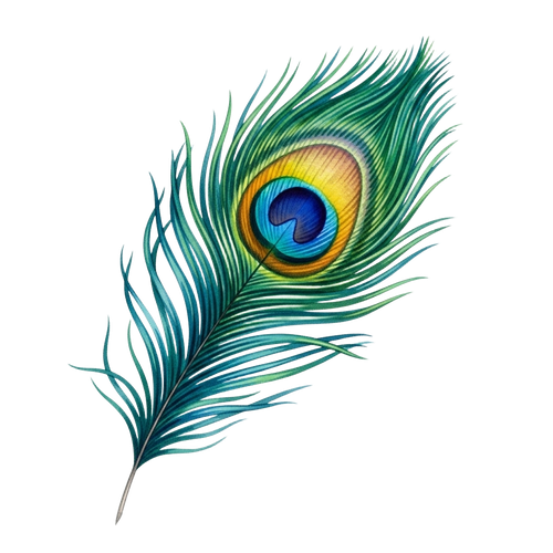 67801a330426.png