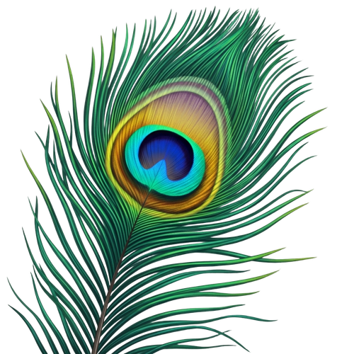 a243dece78f7.png