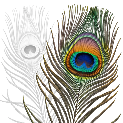 a180d6f56676.png