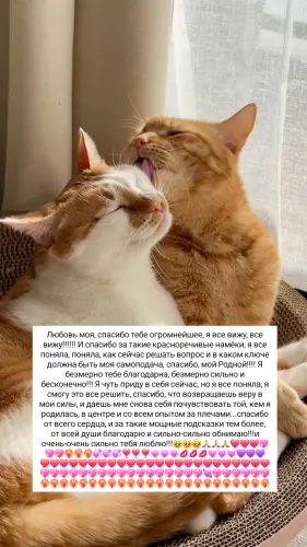 IMG 20260302 205819 560.webp