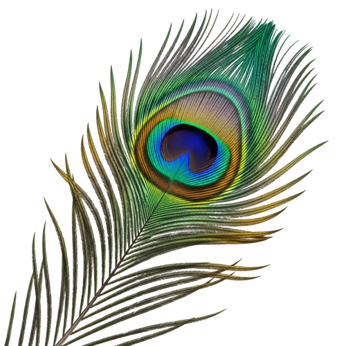 b5f65b581735.png