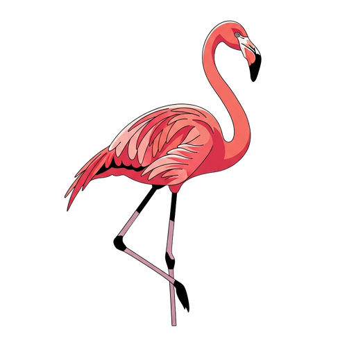 db4c76533f77.png