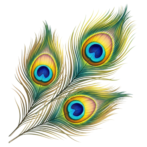 0d07a312b9c8.png