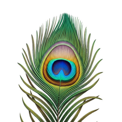 19bbd7f0328c.png