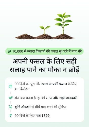 hindi 1.png