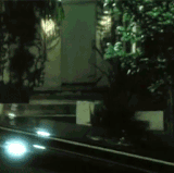 d0mSnWQ.gif
