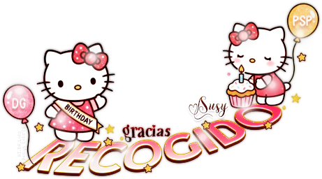 HKRecgBDay AI DG Lolis Susy.png