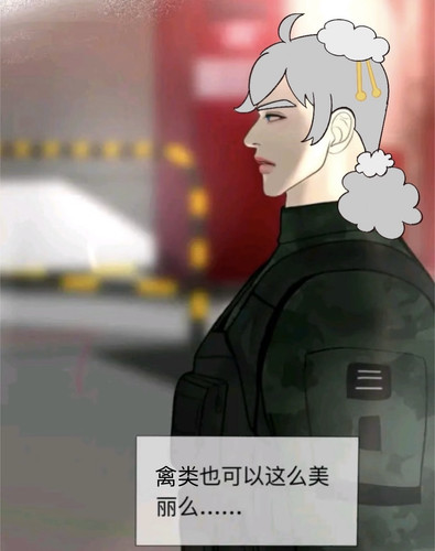 未命名作品.jpg