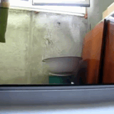 VID 20260303 103620 ezgif.com video to gif converter.gif