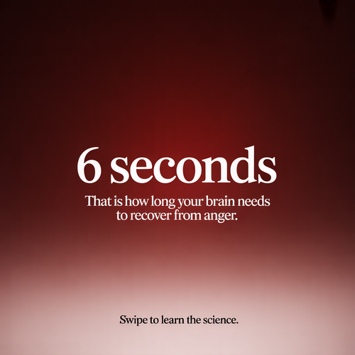 tiktok rq 1.png