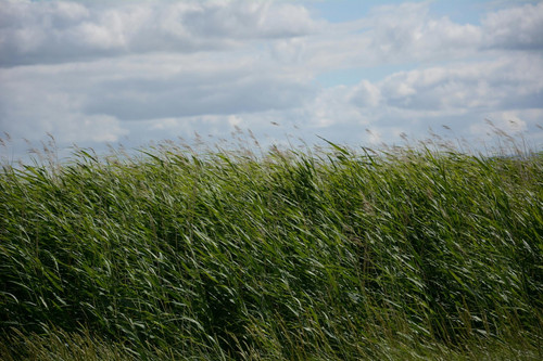 c787614f419f.jpg