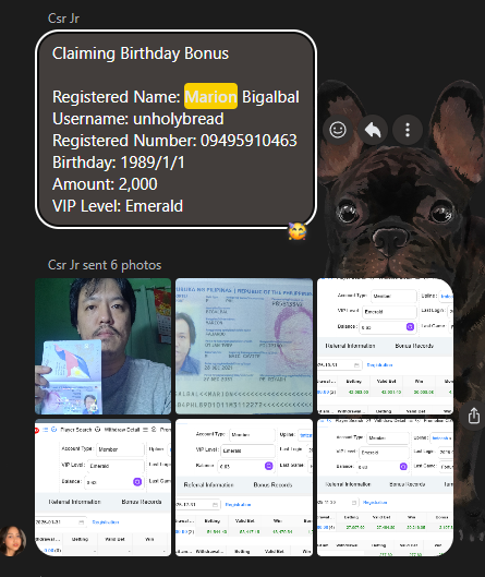 Screenshot 2026 03 03 113734.png