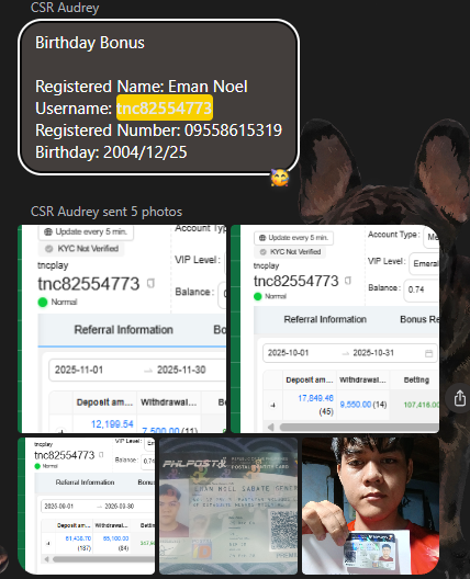 Screenshot 2026 03 03 113306.png