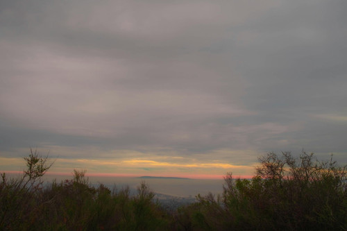 2957b0905f83.jpg