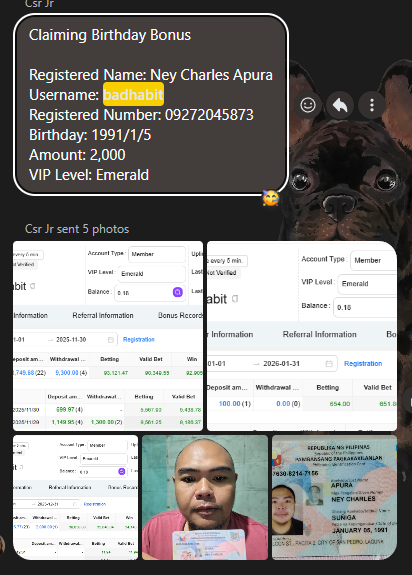 Screenshot 2026 03 03 113841.png