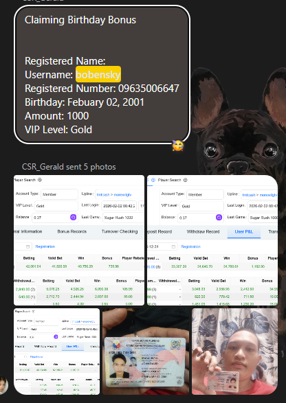 Screenshot 2026 03 03 115941.png