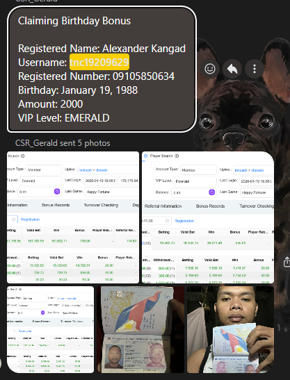 Screenshot 2026 03 03 114527.png