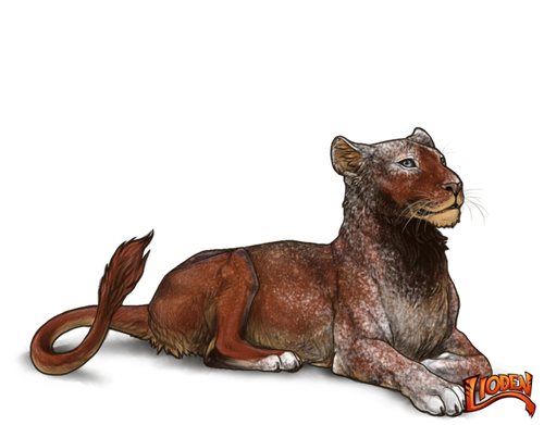 lioden wardrobe 2026 03 02T144536.976.png