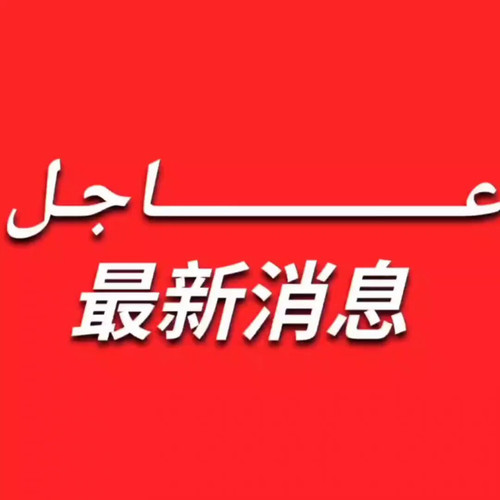 FBkt05PS9sP V Br.jpg