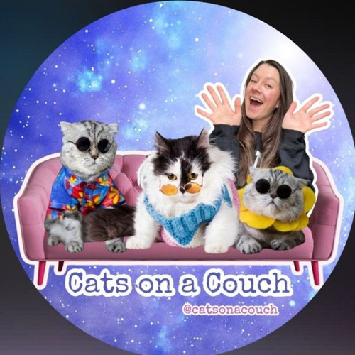 catsonacouch.jpg