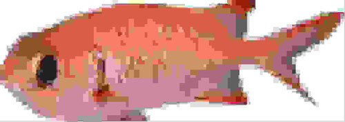 imageedit 1 4767337744.jpg