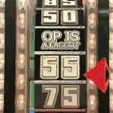 IMG 6469.gif
