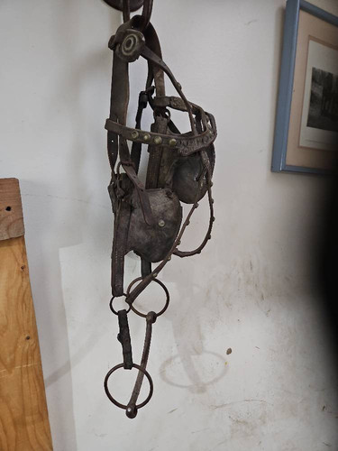 e570b8125828.jpg