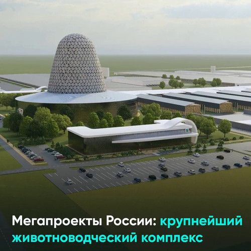 uIusmm6puadUzbLL.jpg