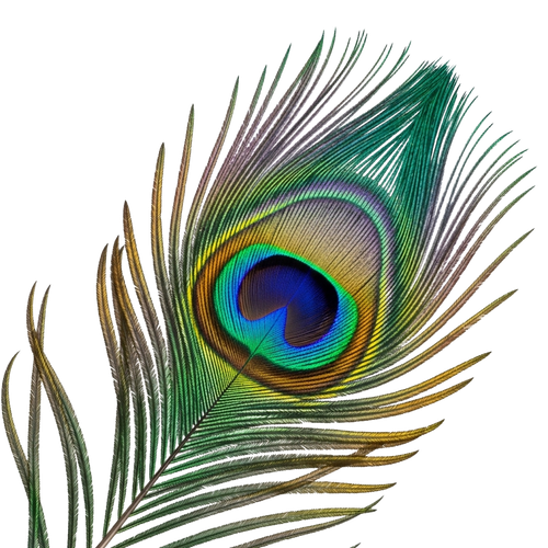 ae6c54c70a09.png