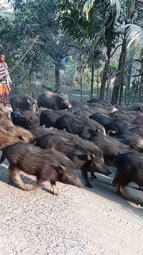 rTTrLMuhaImnLJlM.jpg