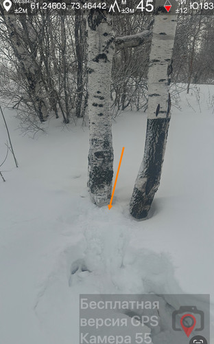 IMG 9085.jpg