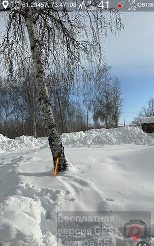 IMG 9084.jpg