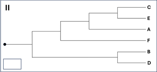 Tree 2 (1).png