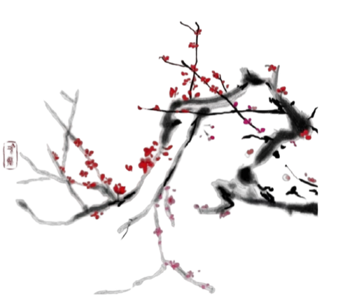 IMG 20260303 013140.png