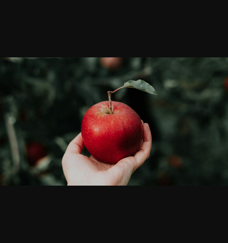 apple.jpg