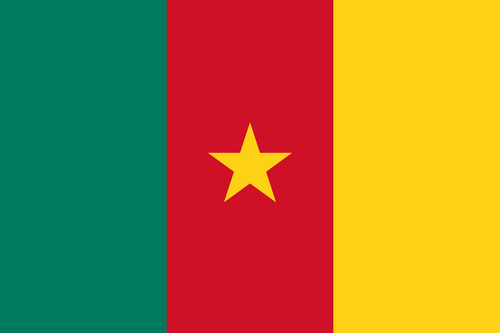 Flag of Cameroon.svg.png