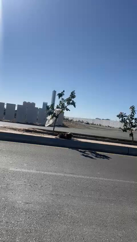 Lm17S87elyOid6 a.1