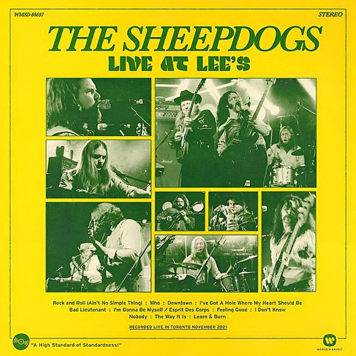 sheep.1