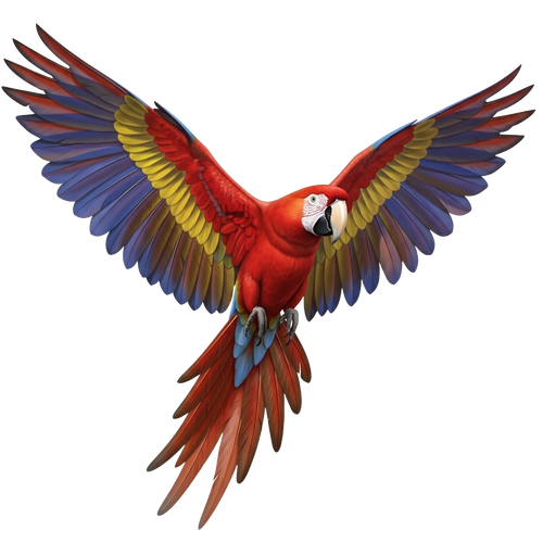 d2c16172eb54.png