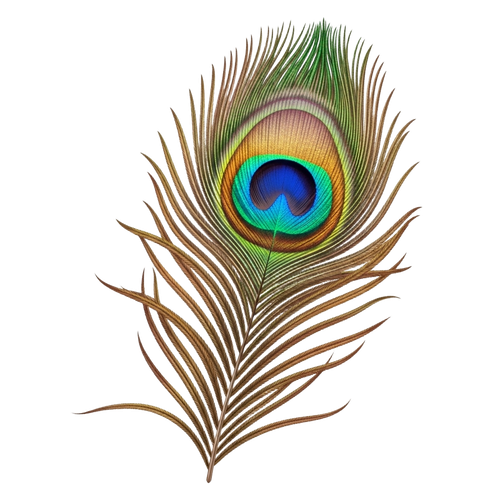 e59b35d08bfc.png
