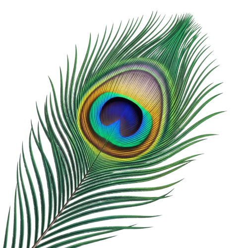 436fdc0276ac.png