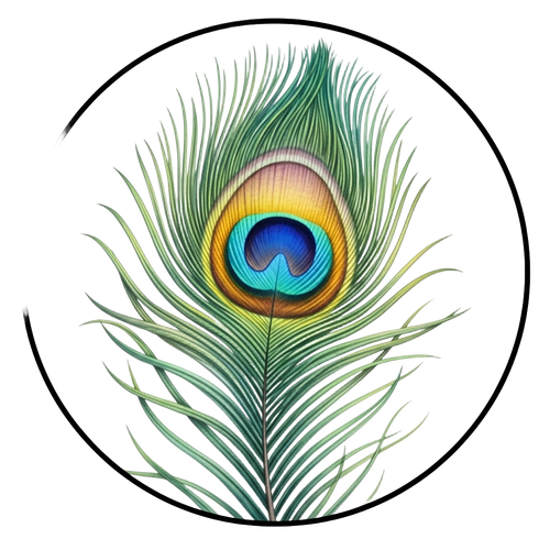 3ddbd3180f3d.png