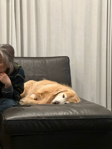 2026 03 03 discharge home sofa.jpg