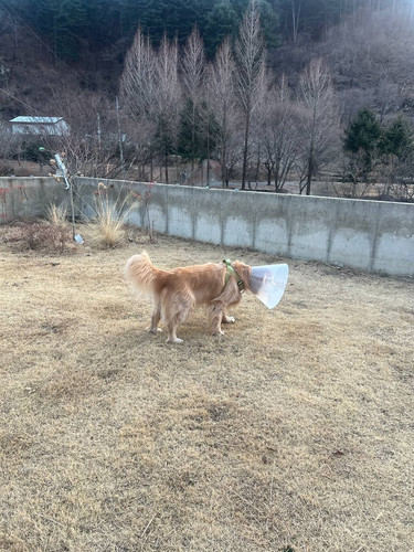 2026 03 03 discharge yard.jpg