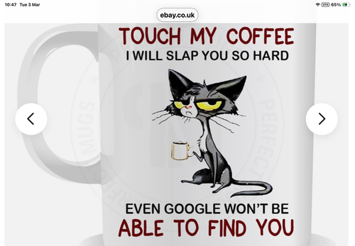 IMG 4491.png
