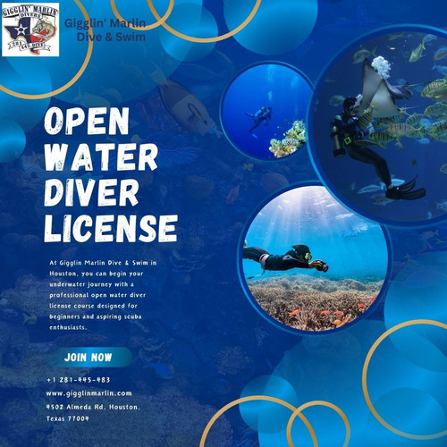 Expert Dive Training & Courses  Open Water Diver License at Gigglin Marlin.jpg